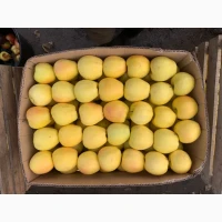 Продам яблоко