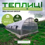 Теплиця, яка окупиться вже за перші сезони