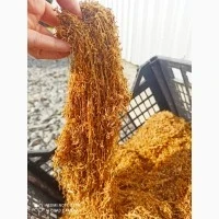 Продам тютюн гарної якості, Вірджинія голд, золоте руно, Мальборо, Кентукі та інші