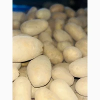 Продаємо картоплю сорту гранада