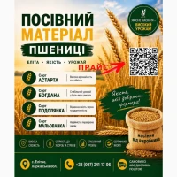 Продам насіння пшениці 2026