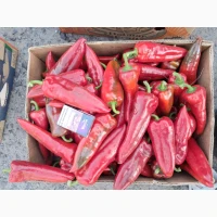 Продам перець