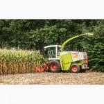 Услуги уборки силоса, уборка кукурузы на силос, аренда кормоуборочного комбайна