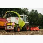 Услуги уборки силоса, уборка кукурузы на силос, аренда кормоуборочного комбайна