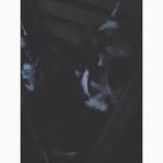 Продам козлят