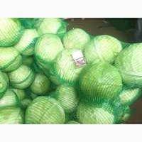 Куплю капусту белокачанную