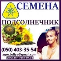 Просо элита