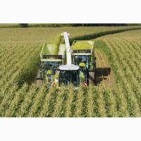 Польовий подрібнювач CLAAS JAGUAR 980-940