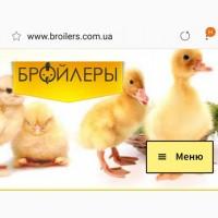 Продам бройлеров суточных