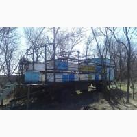 Продажа пасеки