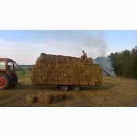 Сіно у Тюках