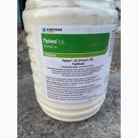 Пріма Форте – протидводольний гербіцид для захисту зернових культур та кукурудзи