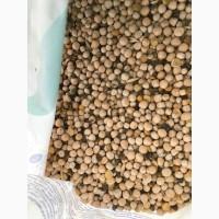 Продам горох врожай 2019 року