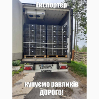 Куплю равлики дикі виноградні