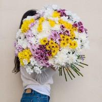 Цветы Краматорск/Квiти Краматрськ (срез опт и розница)