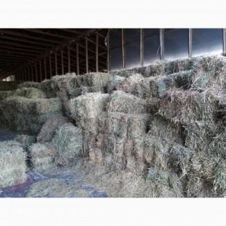 Продам сіно з люцерни. Гранули люцерни