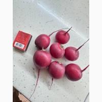 Продам редиску очень вкусную