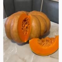 Продам гарбуз Мускат де Прованс