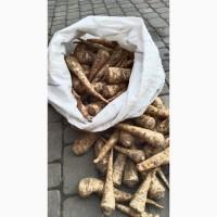 Продам товарну кореневу петрушку