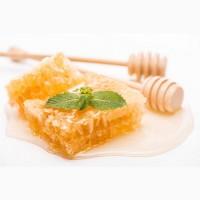 Закупівля меду з антибіотиком