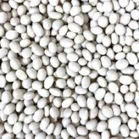 Продаж насіння квасолі. Посівний матеріал квасолі