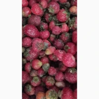 Продам полуницю заморожену дрібну з хвостиком