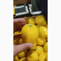 Лимон, Південна Африка