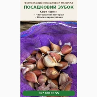 Насіннєвий часник Ірен - Однозубка, Зубок, Повітряна бульбочка