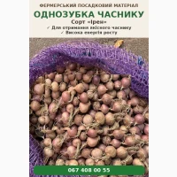 Насіннєвий часник Ірен - Однозубка, Зубок, Повітряна бульбочка
