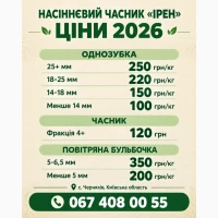 Насіннєвий часник Ірен - Однозубка, Зубок, Повітряна бульбочка