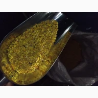 Пилок бджолиний обніжжя бджолине