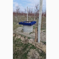 Продаж готового агробізнесу біля кордону з Польщею | Персиковий сад 3, 4 га