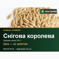 Насіння ячменю Снігова королева (СГІ, Одеса) - озимий, еліта, РН-1