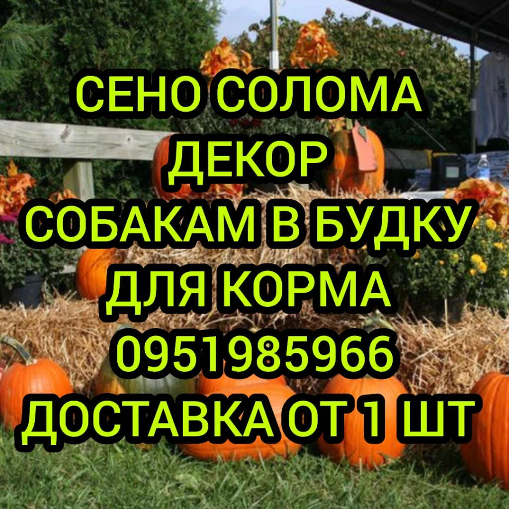 Зелёные и золотистые тюки сена соломы для ДЕКОРА, утепления будки собакам