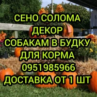 Зелёные и золотистые тюки сена соломы для ДЕКОРА, утепления будки собакам