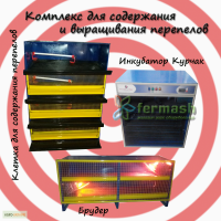 Комплекс для содержания и выращивания перепелов