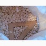 Продам семечки тыквы сероволжская