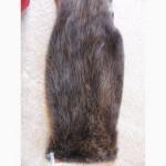 Продам шкуры бобра