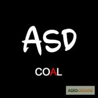 Шлам угольный - Аргиллит