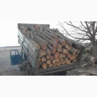 Продам дрова оптом