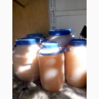 Продам 700 кг подсолнечного меда