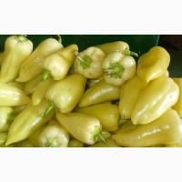 Куплю сладкий перец оптом