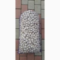 Продам часник яровий доброї якості