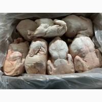 Продам от экспротной компании курку замороженую з 20 тонни