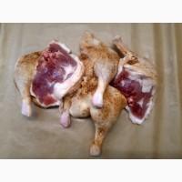 Качиний окорок
