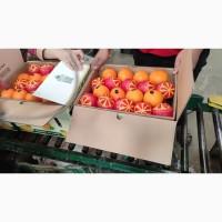 Качественный египетский летний апельсин