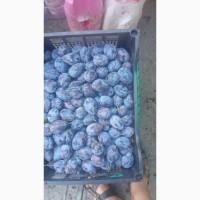 Продам сливу з саду