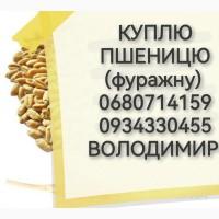 Куплю пшеницю фураж 5000 грн за тонну