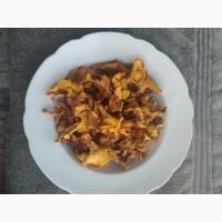 Продам Лисички сушені, врожай 2025 року