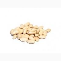 Квасоля продати. Куплю квасолю. Закуповую білу квасолю